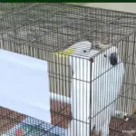 2f4ec252 7414 4f2e b52c 0b6d7062c8d9 0