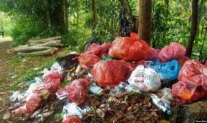 Akibat Buang Sampah Sembarangan; akibat membuang sampah sembarangan; apa akibat membuang sampah sembarangan; sebutkan 4 akibat yang ditimbulkan dari membuang sampah sembarangan; membuang sampah sembarangan dapat mengakibatkan; akibat dari membuang sampah sembarangan; dampak membuang sampah sembarangan; dampak negatif dari membuang sampah sembarangan; 