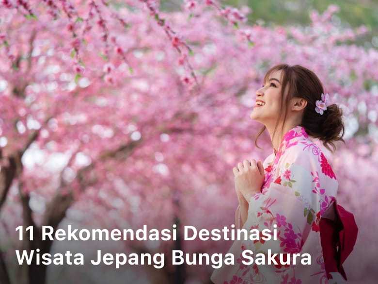Destinasi Wisata Jepang Bunga Sakura