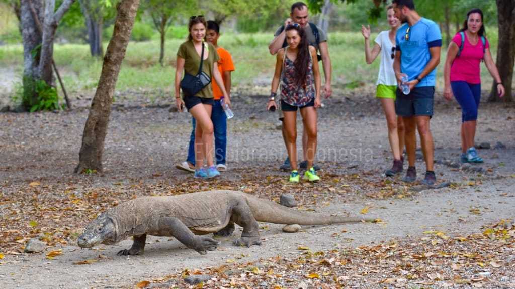 Taman Nasional Komodo di NTT