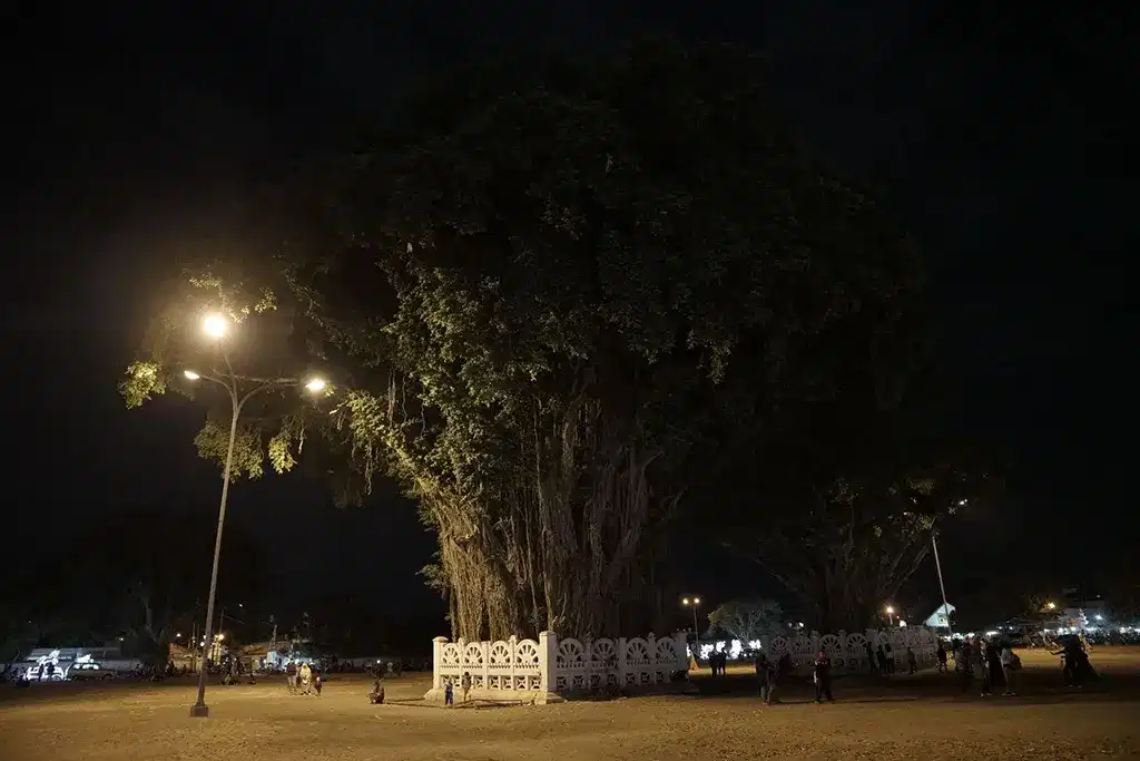 Alun-Alun Kidul Yogyakarta