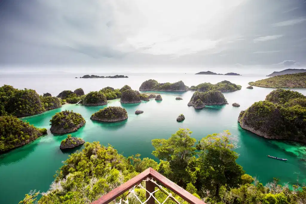 Apa Keistimewaan Raja Ampat yang Membuatnya Menarik