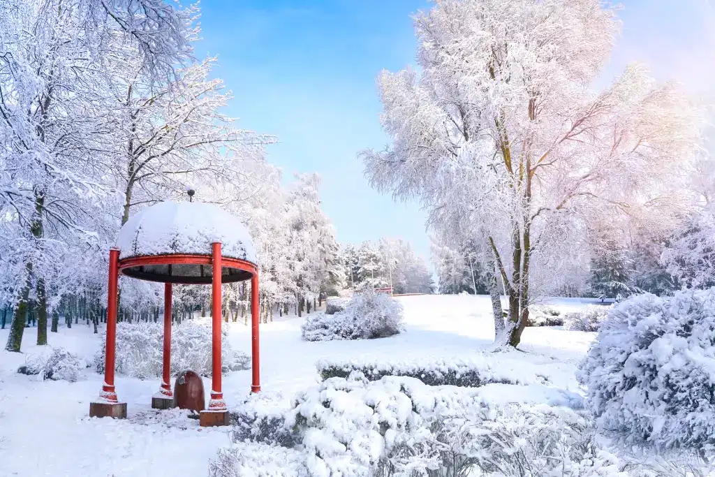 Garden of Morning Calm