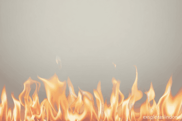 dbf30612 0e44 453b b0dd 18a8d82fe064 0