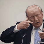 0c5d97d4 1325 4f70 b96a a4605d8e6b84 0