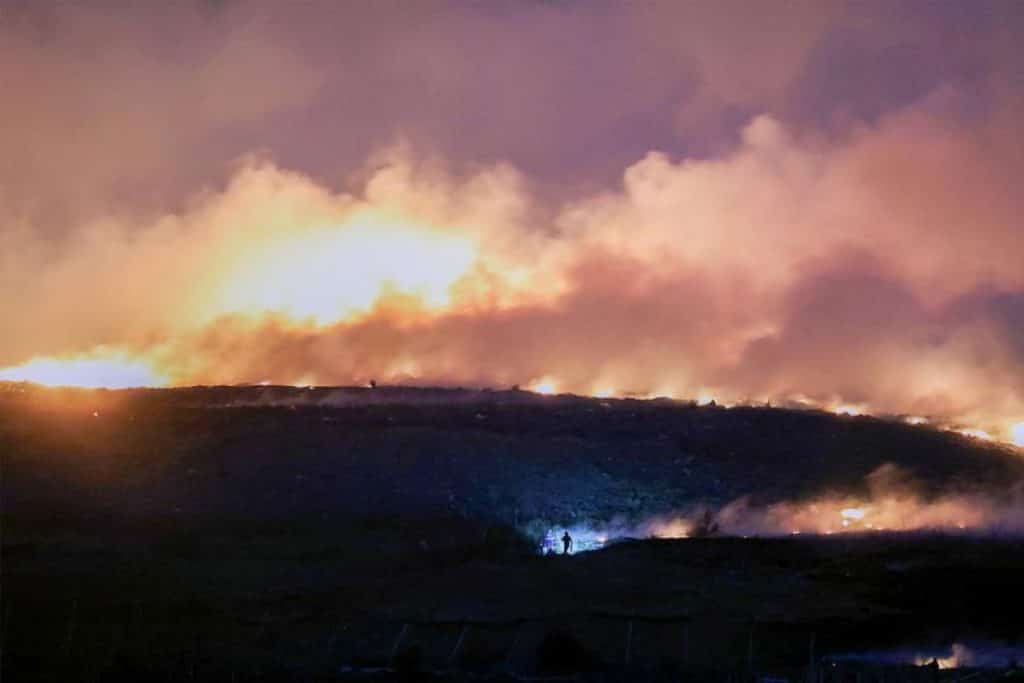 CjkinzN000005 20260413 CBMFN0A001