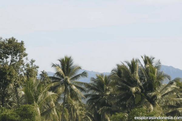 a9925478 c6db 4259 9b0d 138bd93e51c5 0