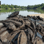 aba1b29c dac3 4abe 8a53 4a128ccafc6f 0