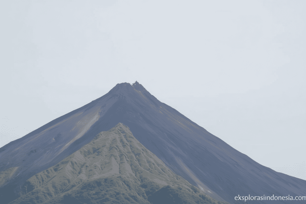 acdc3b6f 0eb4 4ae9 8bba 023a0eafb1bc 0