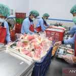 anggaran program makan bergizi gratis 2769284