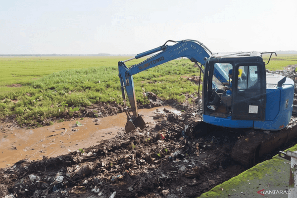 fb4fcab8 3184 42be b4a6 e15d29c4946b 0