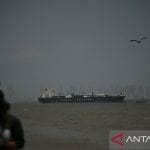 thumbs b c 3e0846ea6ddb84cf95bf29f19dea4d8c 1