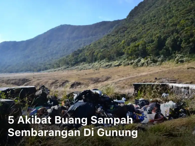 Akibat Buang Sampah Sembarangan
