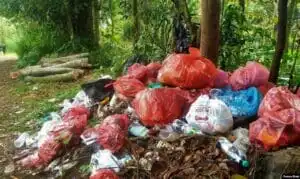 Akibat Buang Sampah Sembarangan; akibat membuang sampah sembarangan; apa akibat membuang sampah sembarangan; sebutkan 4 akibat yang ditimbulkan dari membuang sampah sembarangan; membuang sampah sembarangan dapat mengakibatkan; akibat dari membuang sampah sembarangan; dampak membuang sampah sembarangan; dampak negatif dari membuang sampah sembarangan;