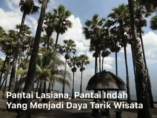Pantai Lasiana
