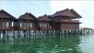 Penginapan di Pulau Derawan; penginapan di derawan; penginapan pulau derawan; harga penginapan di pulau derawan; penginapan derawan; hotel di derawan; penginapan derawan island; resort di derawan; hotel derawan; resort derawan; derawan resort; cottage derawan; derawan beach resort; derawan island resort; 