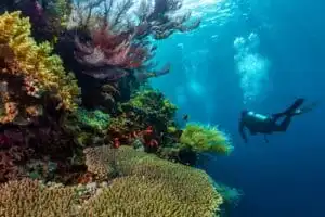 Pantai Pulau Derawan; pantai derawan berau; pulau derawan dimana; pantai derawan kalimantan timur; pantai derawan kaltim; derawan dimana; pulau derawan; wisata pulau derawan; derawan kalimantan; derawan kalimantan timur; pantai derawan; kepulauan derawan; kepulauan derawan kalimantan timur; pulau derawan kalimantan timur; wisata berau derawan; derawan island dimana; wisata derawan; derawan; pulau derawan berau; biaya ke pulau derawan; derawan berau; derawan island; derawan maratua; pantai berau; pulau kakaban; pulau sangalaki; tanjung batu berau; wisata pulau; wisata di berau;