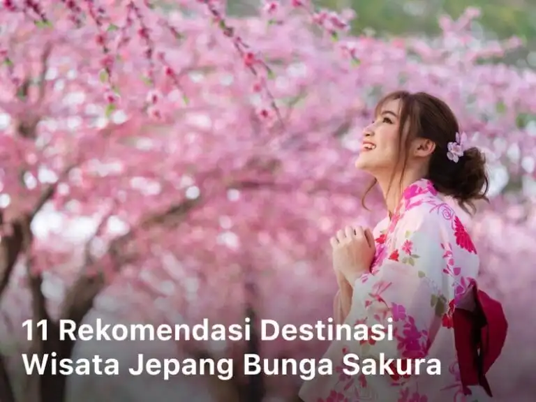 Destinasi Wisata Jepang Bunga Sakura