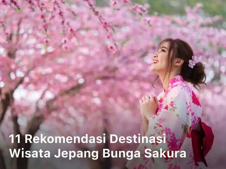 11 Rekomendasi Destinasi Wisata Jepang Bunga Sakura