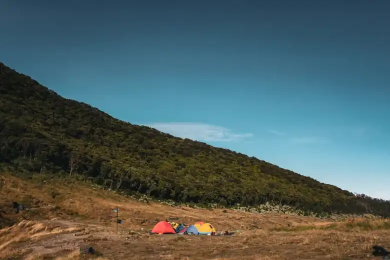 Tips Naik Gunung Gede ini akan Membantumu dengan Aman