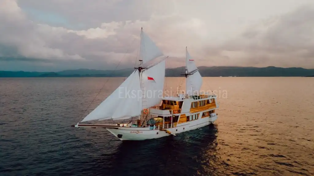 Aktivitas Seru Saat Mengunjungi Taman Nasional Komodo