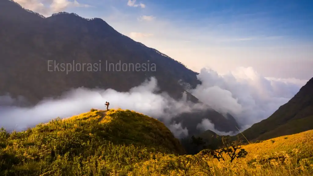 Eksplorasi Indonesia inner