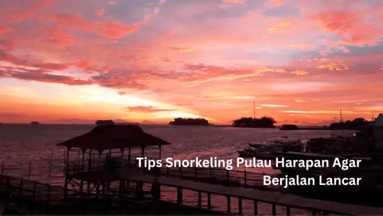 Snorkeling Pulau Harapan