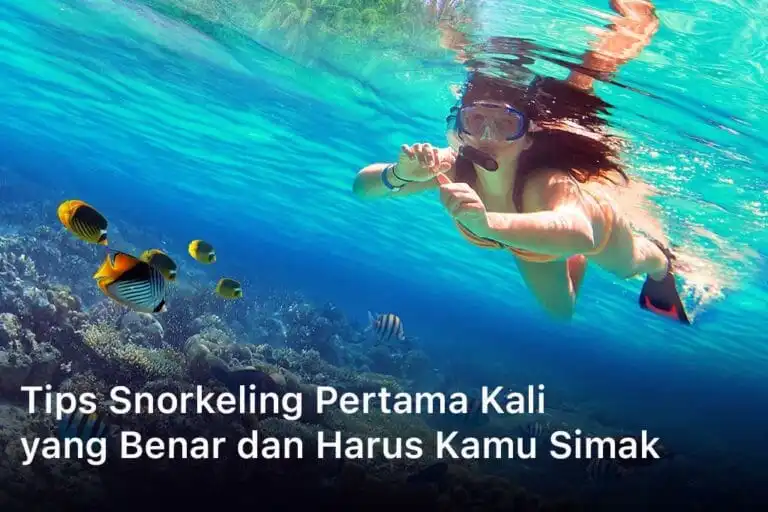 Tips Snorkeling Pertama Kali