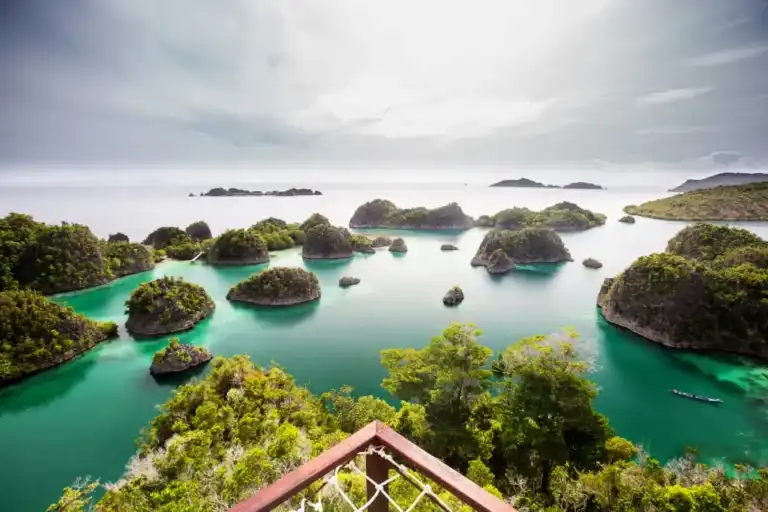 Apa Keistimewaan Raja Ampat yang Membuatnya Menarik