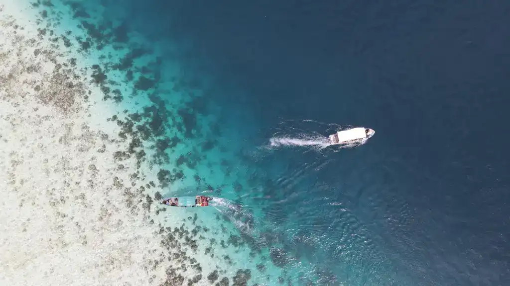 Pasir Timbul Raja Ampat, Daya Tarik Unik di Indonesia