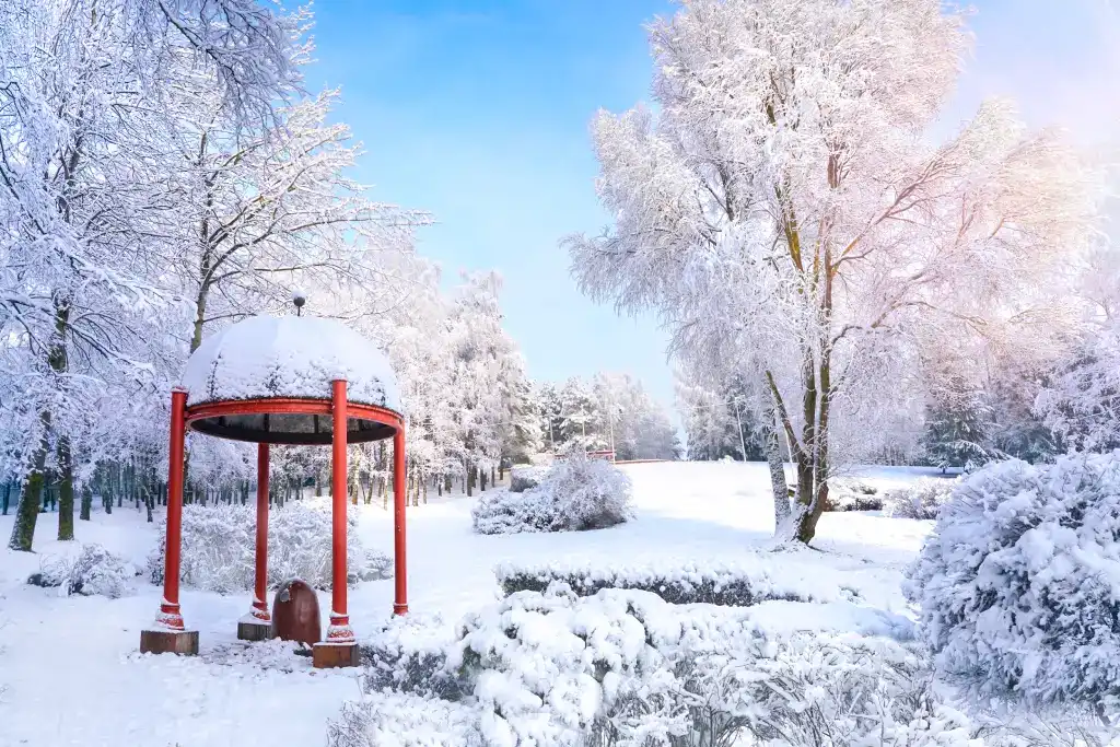 Garden of Morning Calm