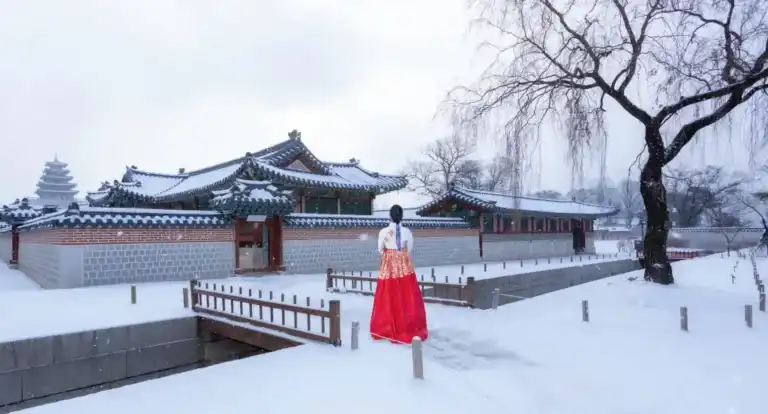 Wisata Musim Dingin di Korea Selatan