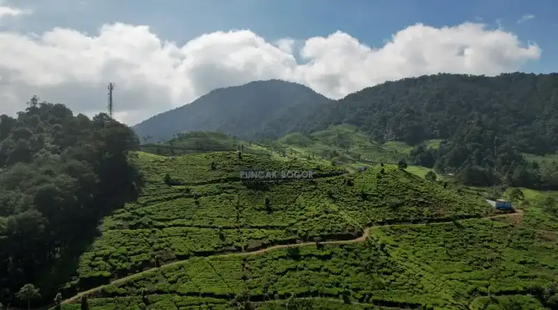 Wisata Puncak Bogor
