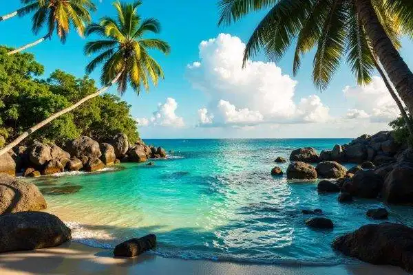 c33f8578 549a 4edc ad06 efb7bd72230b 0