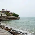 0c1a8e44 dcbc 455d a2ea 2694dd098ad2 0