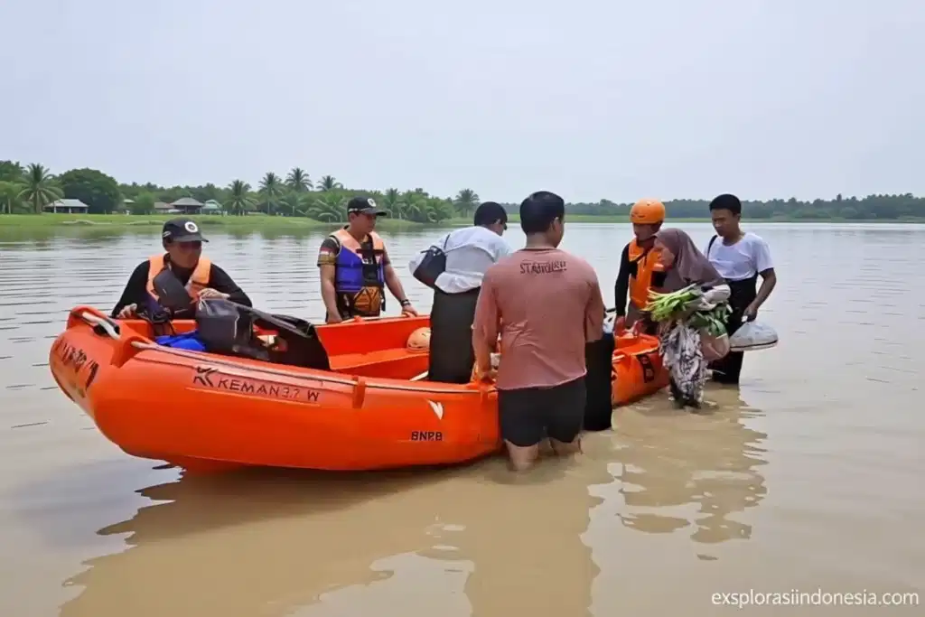 131f9339 2671 45c2 ac04 2e099cc2a4fb 0