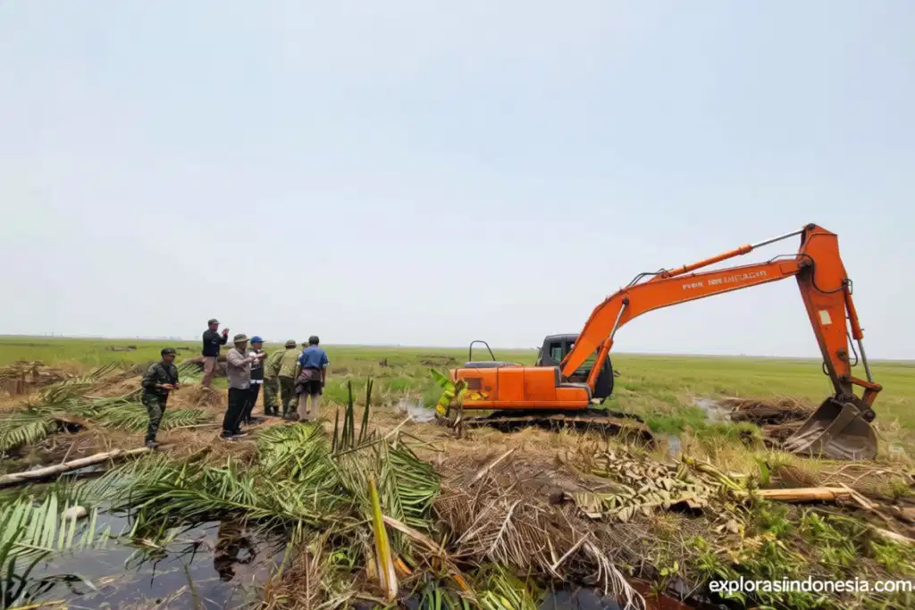 4518a3bb 3559 42bd af9e 8113b5797c54 0