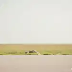 55b18b2c 9798 4018 ac71 5d0d792e2b19 0