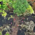 aa7c52f0 cb98 4d34 9304 975f7561049d 0