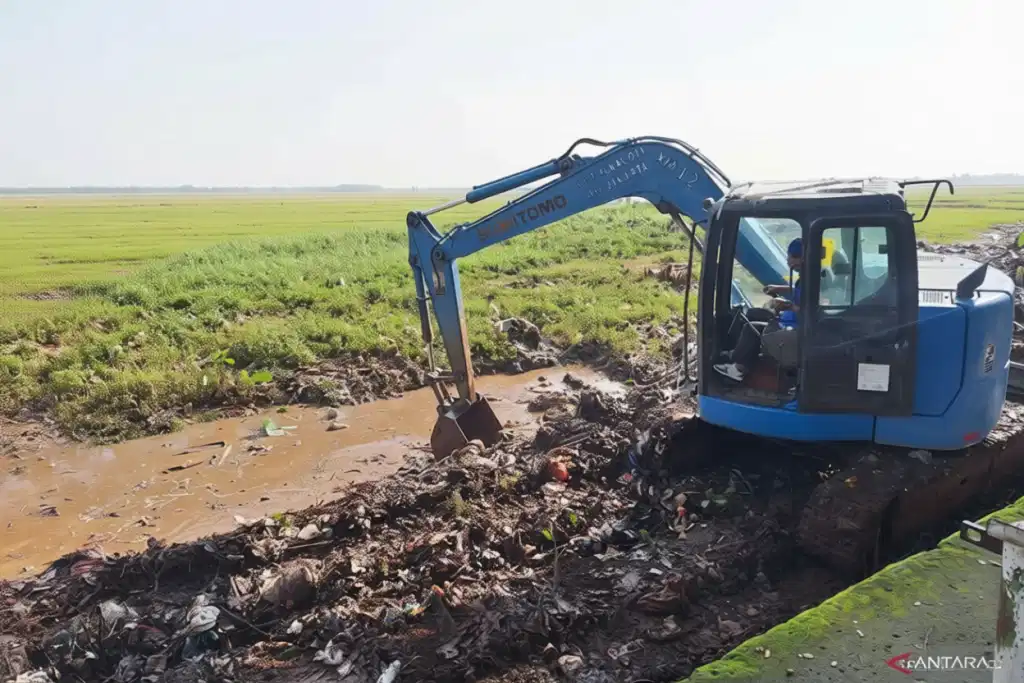 fb4fcab8 3184 42be b4a6 e15d29c4946b 0