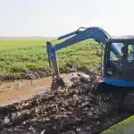 fb4fcab8 3184 42be b4a6 e15d29c4946b 0