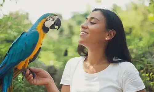 Eco Lifestyle And Wild Life