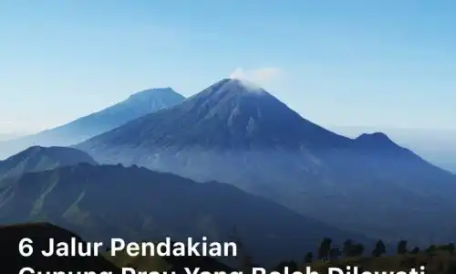 6 Jalur Pendakian Gunung Prau yang Boleh Dilewati