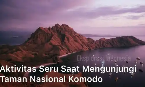 Aktivitas Seru Saat Mengunjungi Taman Nasional Komodo