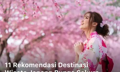 Destinasi Wisata Jepang Bunga Sakura
