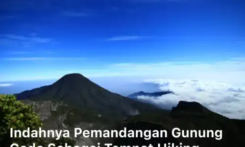 Indahnya Pemandangan Gunung Gede Sebagai Tempat Hiking