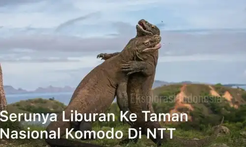 Liburan ke Taman Nasional Komodo di NTT
