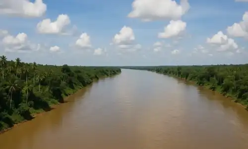 Sungai terpanjang di Indonesia memiliki peran penting dalam ekosistem, transportasi, dan kehidupan masyarakat sekitar.