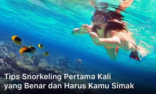 Tips Snorkeling Pertama Kali