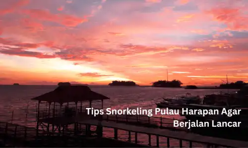 Tips Snorkeling Pulau Harapan Agar Berjalan Lancar